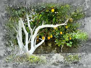 87 Handmade Kreta West 2015-2016