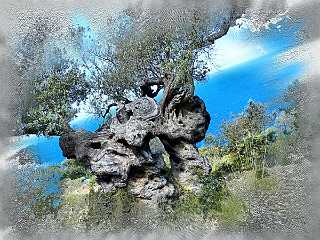 040 Handmade Mallorca 2004-2013